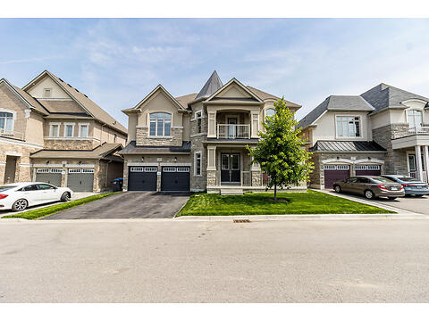 29 Observatory Cres virtual tour image