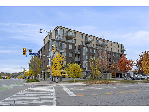 5 Gordon St - Unit 209 virtual tour image