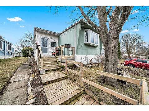 137 Maple Cres. virtual tour image