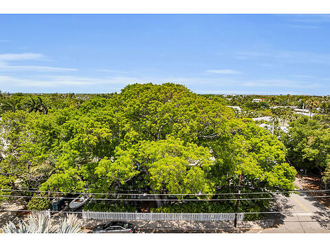1421 White St virtual tour image