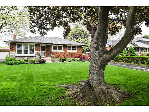 20 Edinburgh Drive virtual tour image