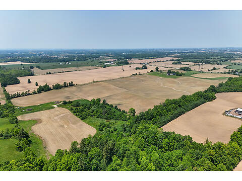 290 Mulligan Road virtual tour image