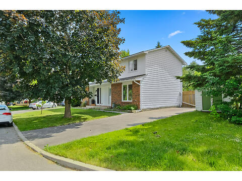 41 Dundegan Drive virtual tour image