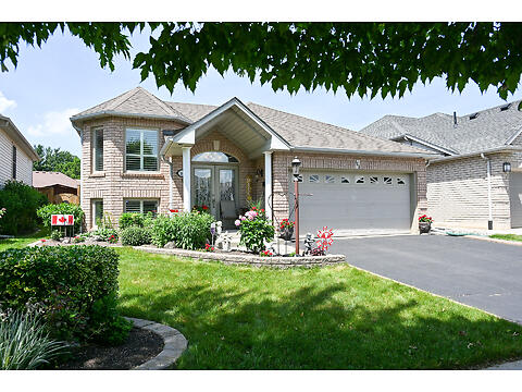 163 Olivetree Rd virtual tour image
