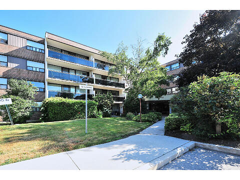 312-10 Sunrise Ave virtual tour image