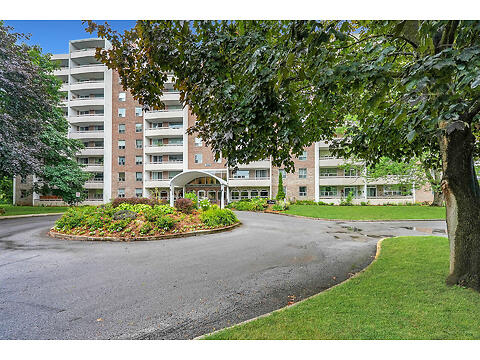 365 Geneva St. #1003 virtual tour image