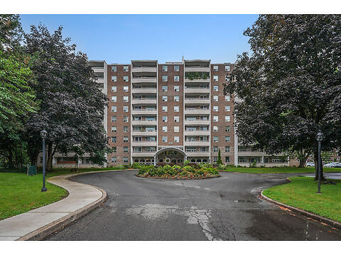 365 Geneva St. #1003 virtual tour image
