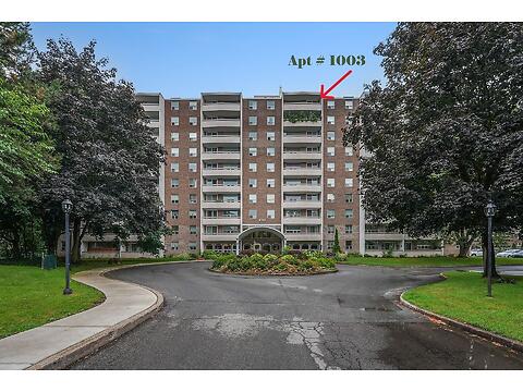 365 Geneva St. #1003 virtual tour image