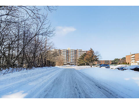 365 Geneva St. #1003 virtual tour image