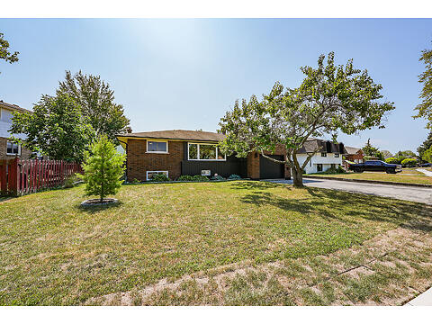 10 Calla Terrace virtual tour image