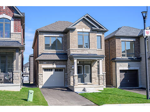 1859 Irish Moss Square virtual tour image