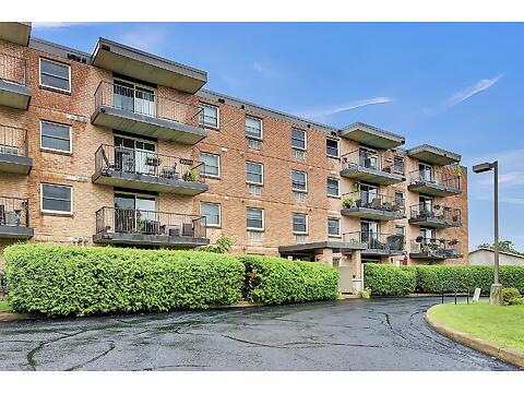 206 Woodward Street virtual tour image