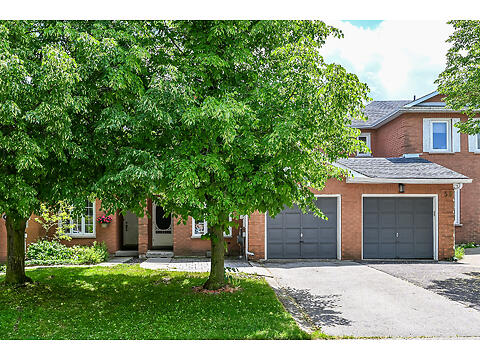 51 Pirie Dr. virtual tour image