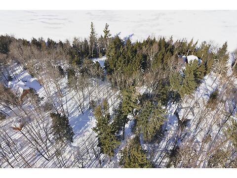 102-B McVicar Lane virtual tour image