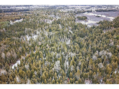 2485 Marshwood Rd virtual tour image