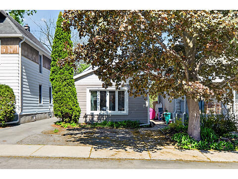 29 Stevenson Avenue virtual tour image