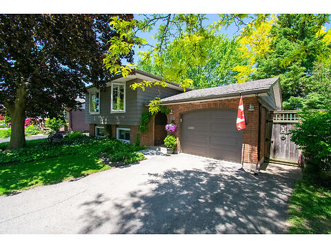 26 Macoomb Drive virtual tour image