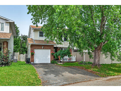 4 Gowrie Drive virtual tour image