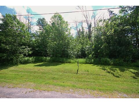 Lot 13 Silver Fox virtual tour image